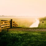 Early-morning-beauty-of-the-farm-meadow-creek-sheep_1920x1440